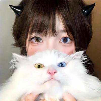 热狗行动